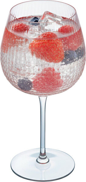 ARC X2606 Disco Gin Tonic Kelch 60cl (7)