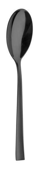 254_160PVD-B110