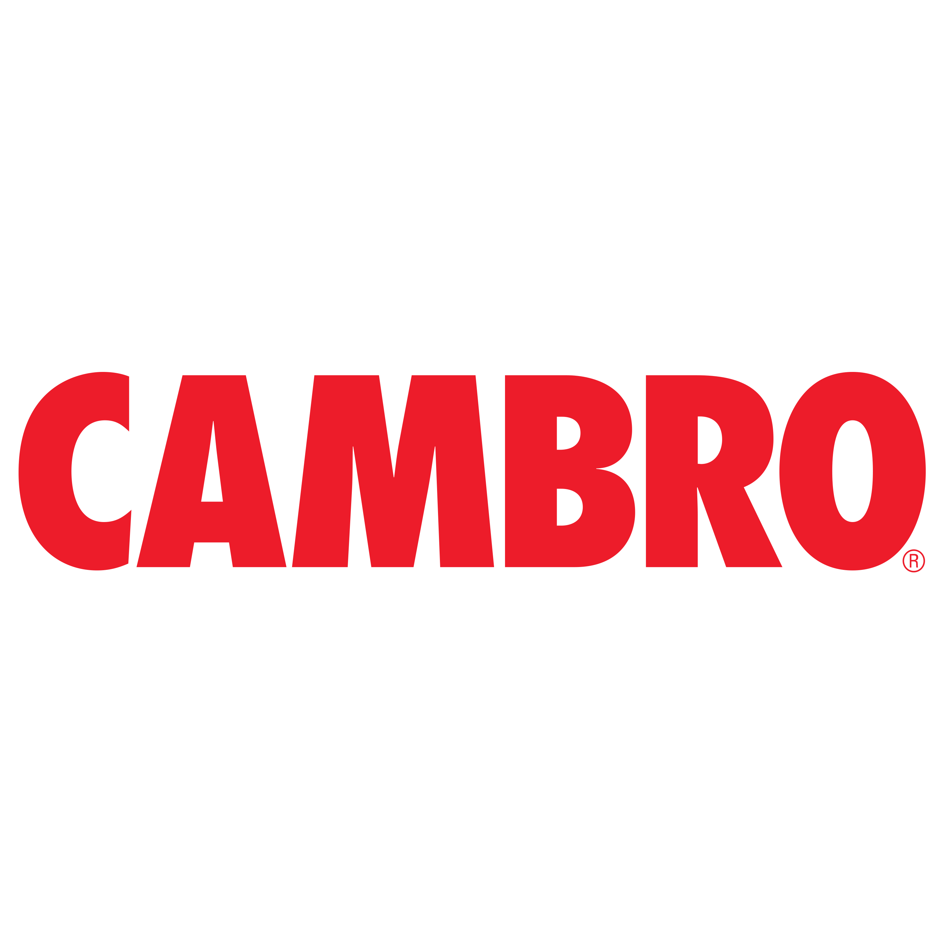 CAMBRO Presswerk Köngen GmbH